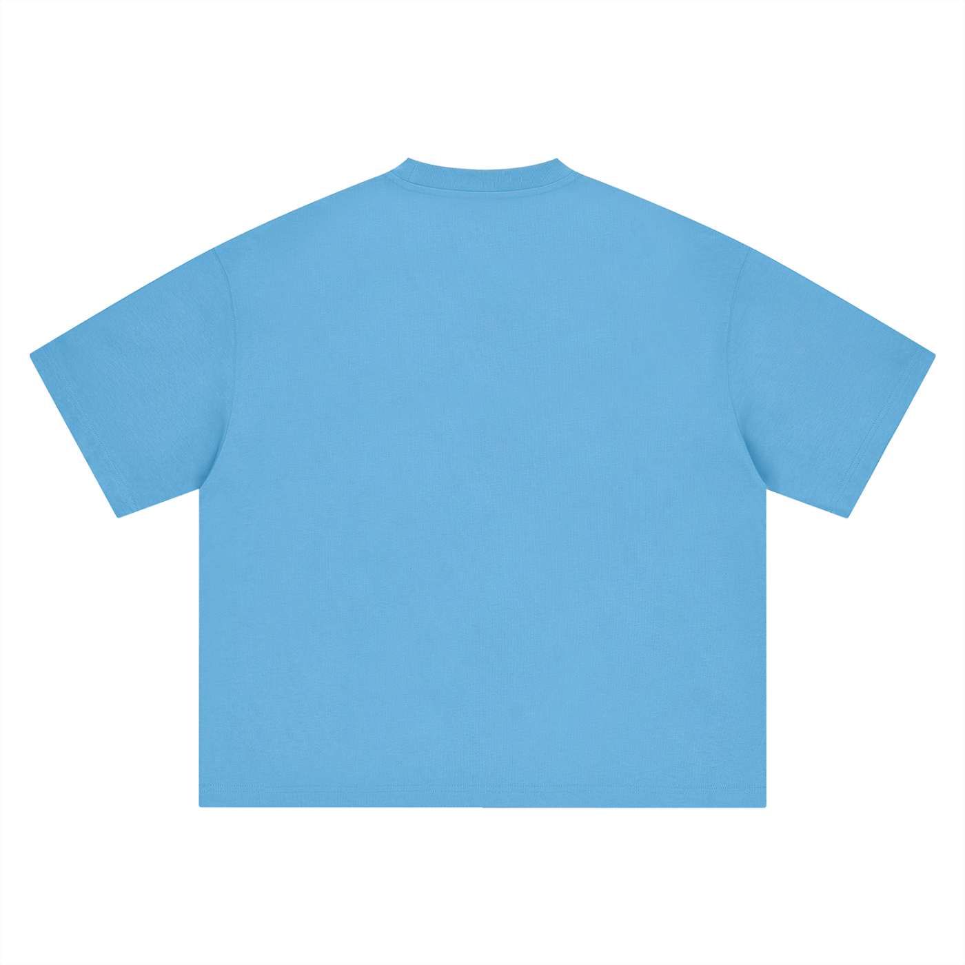 Hot Girls Want Grand Gestures boxy oversized tee, back view